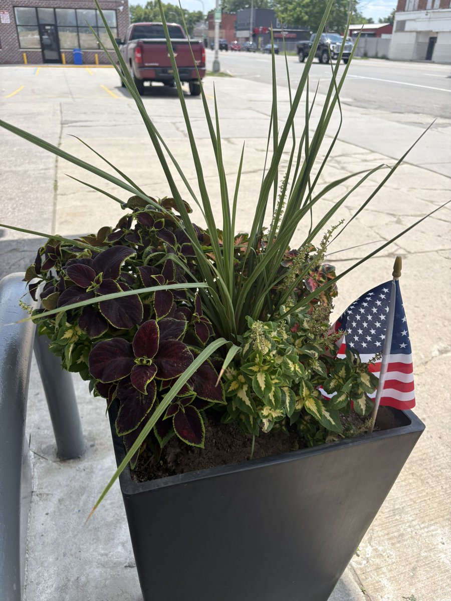 Laura Herberg tweet media