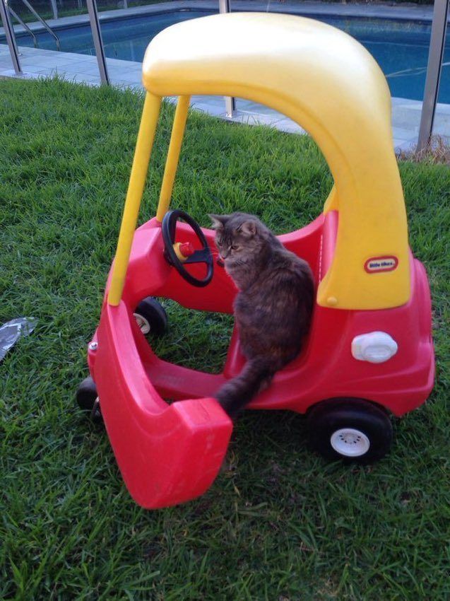 Your uber is here.