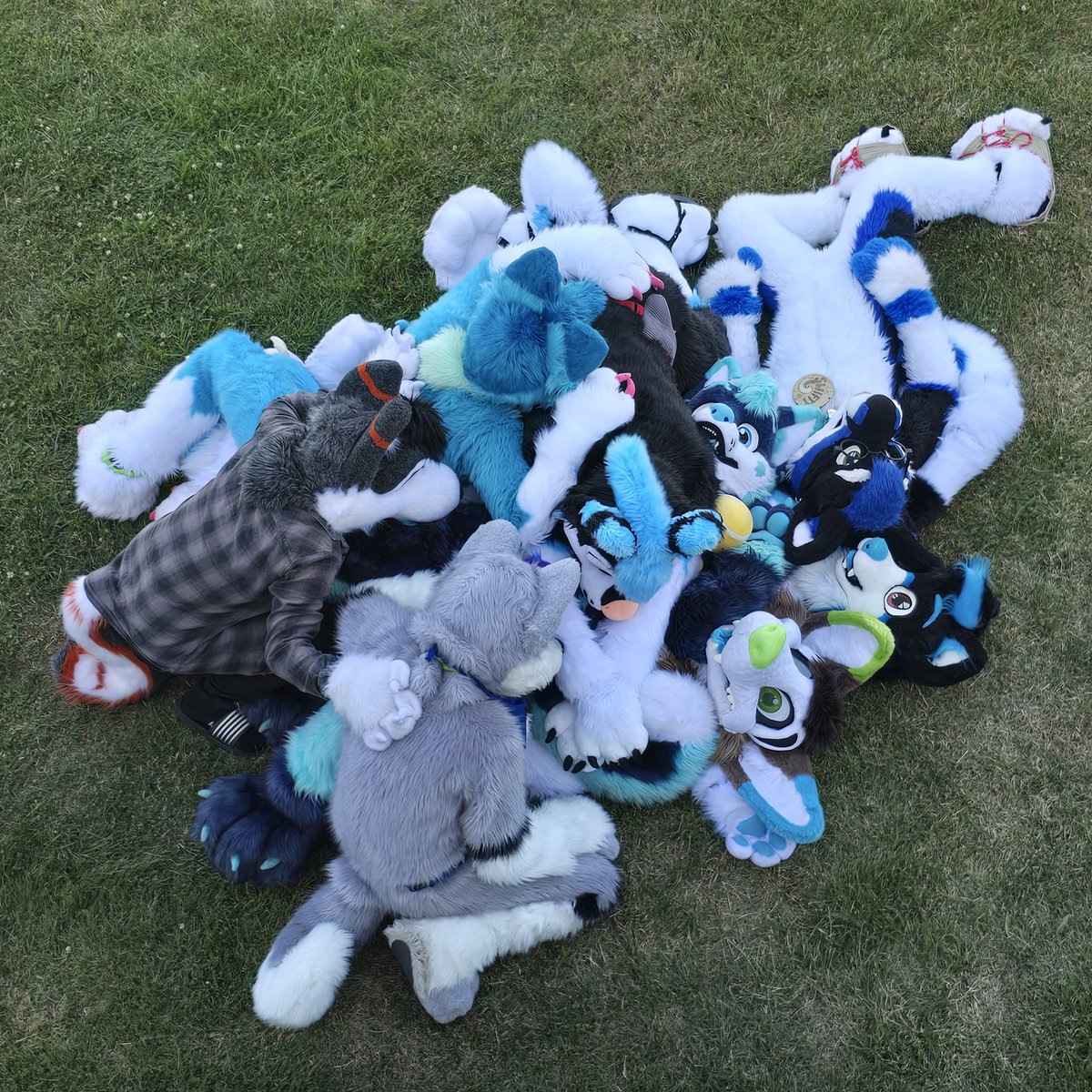 Nowi (@nowihusky) on Twitter photo pile of huskies
๐ถ Seby <a href="/mato_husky/">mato_husky</a> <a href="/GumppeHusky/">Gumppe Husky</a> <a href="/TempestTraxx/">Tempest ๐</a> <a href="/TyrkysHusky/">Tyrkys</a> <a href="/SwiftyHooskie/">Swอชiอฆfอฆtฬพyโทฆ ๐ณ๏ธโ๐</a> <a href="/RapidtheHusky/">Rapid โก๏ธ EF29</a> Me
๐ธ <a href="/SwiftyHooskie/">Swอชiอฆfอฆtฬพyโทฆ ๐ณ๏ธโ๐</a>
๐#CESFUR2025 pile of huskies
๐ถ Seby <a href="/mato_husky/">mato_husky</a> <a href="/GumppeHusky/">Gumppe Husky</a> <a href="/TempestTraxx/">Tempest ๐</a> <a href="/TyrkysHusky/">Tyrkys</a> <a href="/SwiftyHooskie/">Swอชiอฆfอฆtฬพyโทฆ ๐ณ๏ธโ๐</a> <a href="/RapidtheHusky/">Rapid โก๏ธ EF29</a> Me
๐ธ <a href="/SwiftyHooskie/">Swอชiอฆfอฆtฬพyโทฆ ๐ณ๏ธโ๐</a>
๐#CESFUR2025