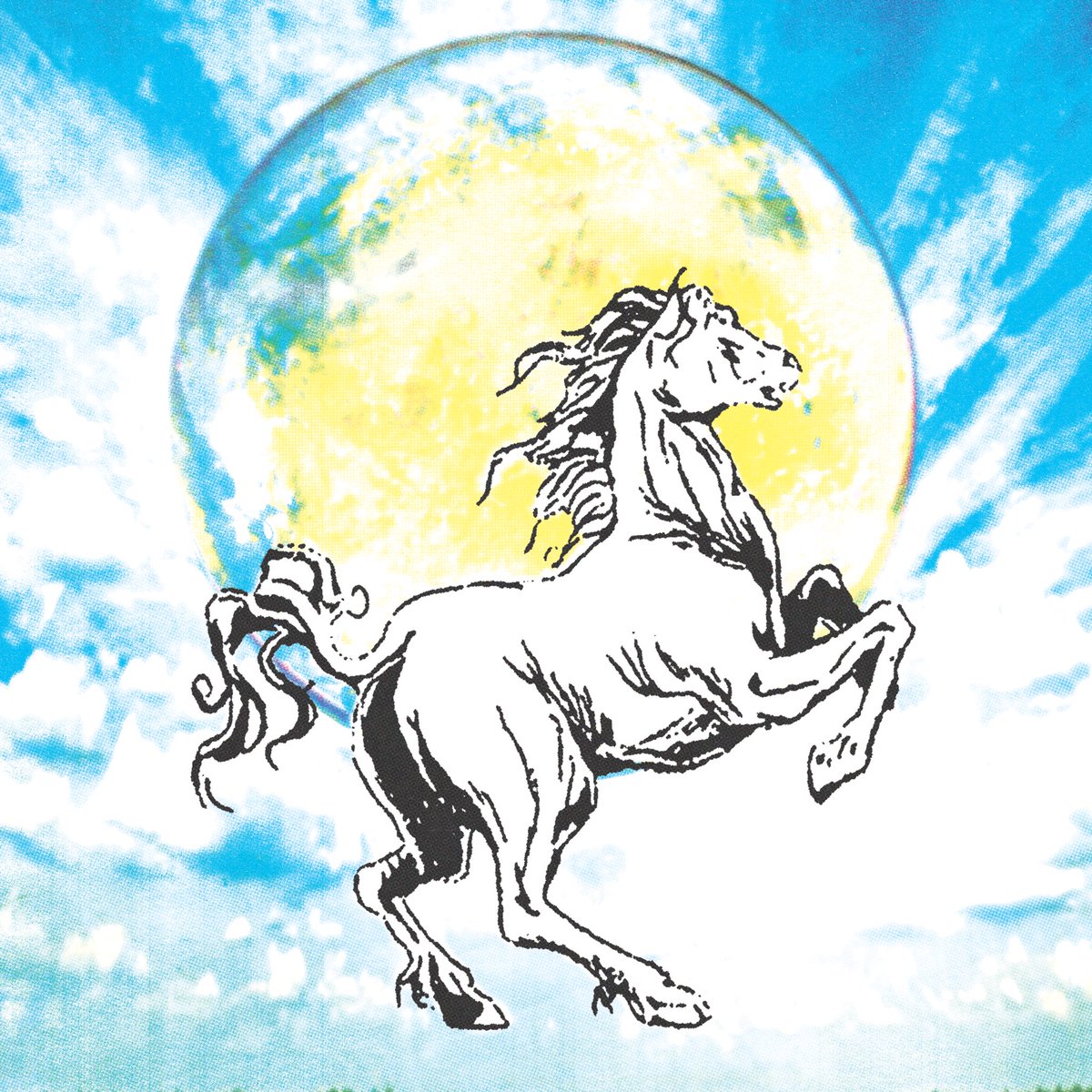 🙇‍♂️ (@joeyginaldi) on Twitter photo 