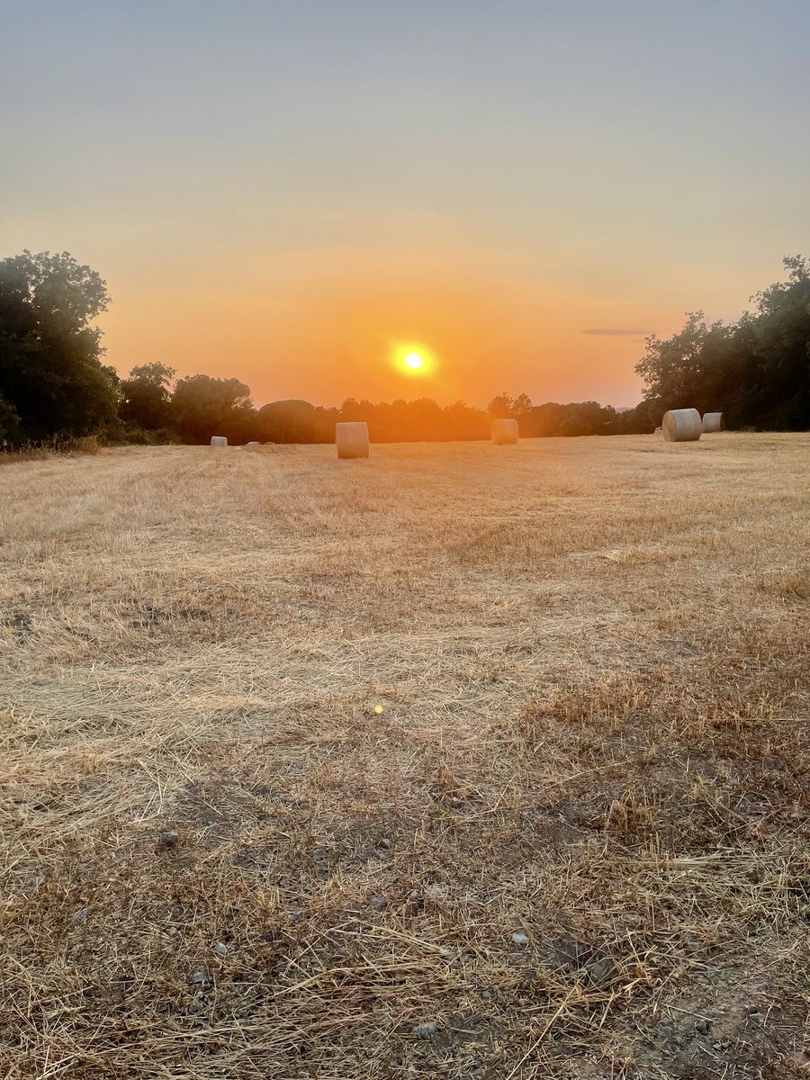 MeteoMoià tweet media