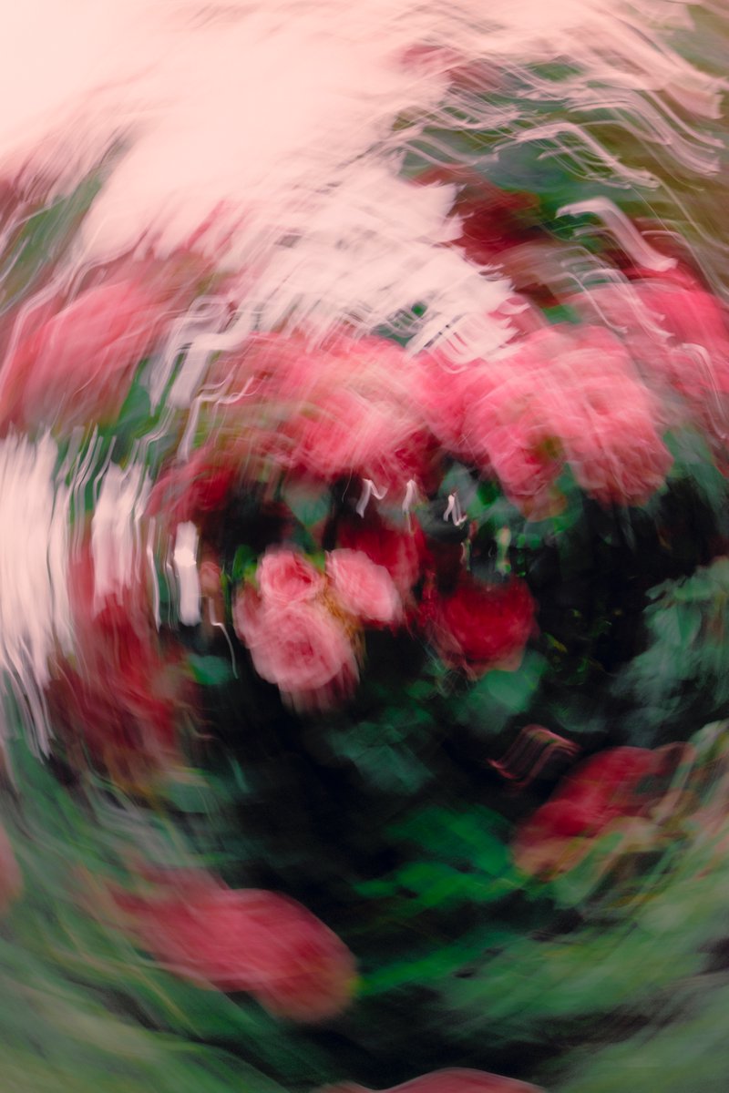 The artist vs. the photos