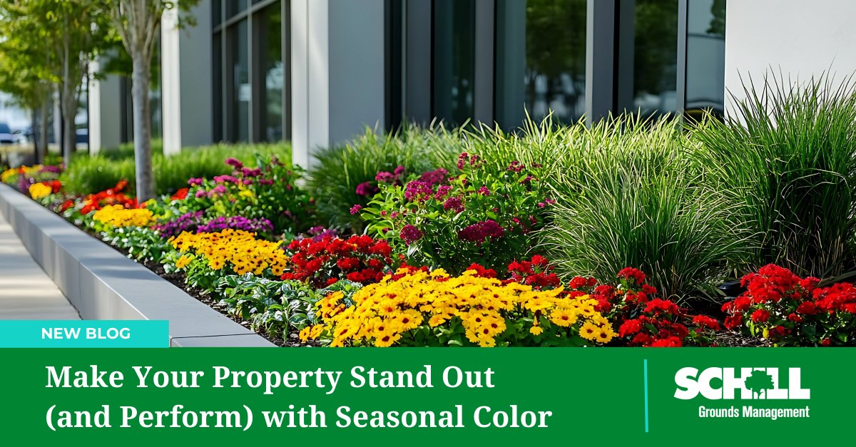 Up your #HOALandscaping game with classic + trendy plant colors and selections: hubs.ly/Q03pQ31k0