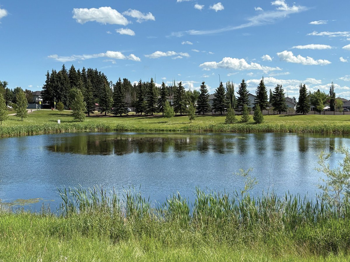 This week’s ‘Beaumont in a flash’ comes from Doreen Savoie and captures a summer day at Cairns Pond.

Do you have a photo showing off the city? Send it to PWilliams@postmedia.com for your chance to be featured in the Beaumont News.