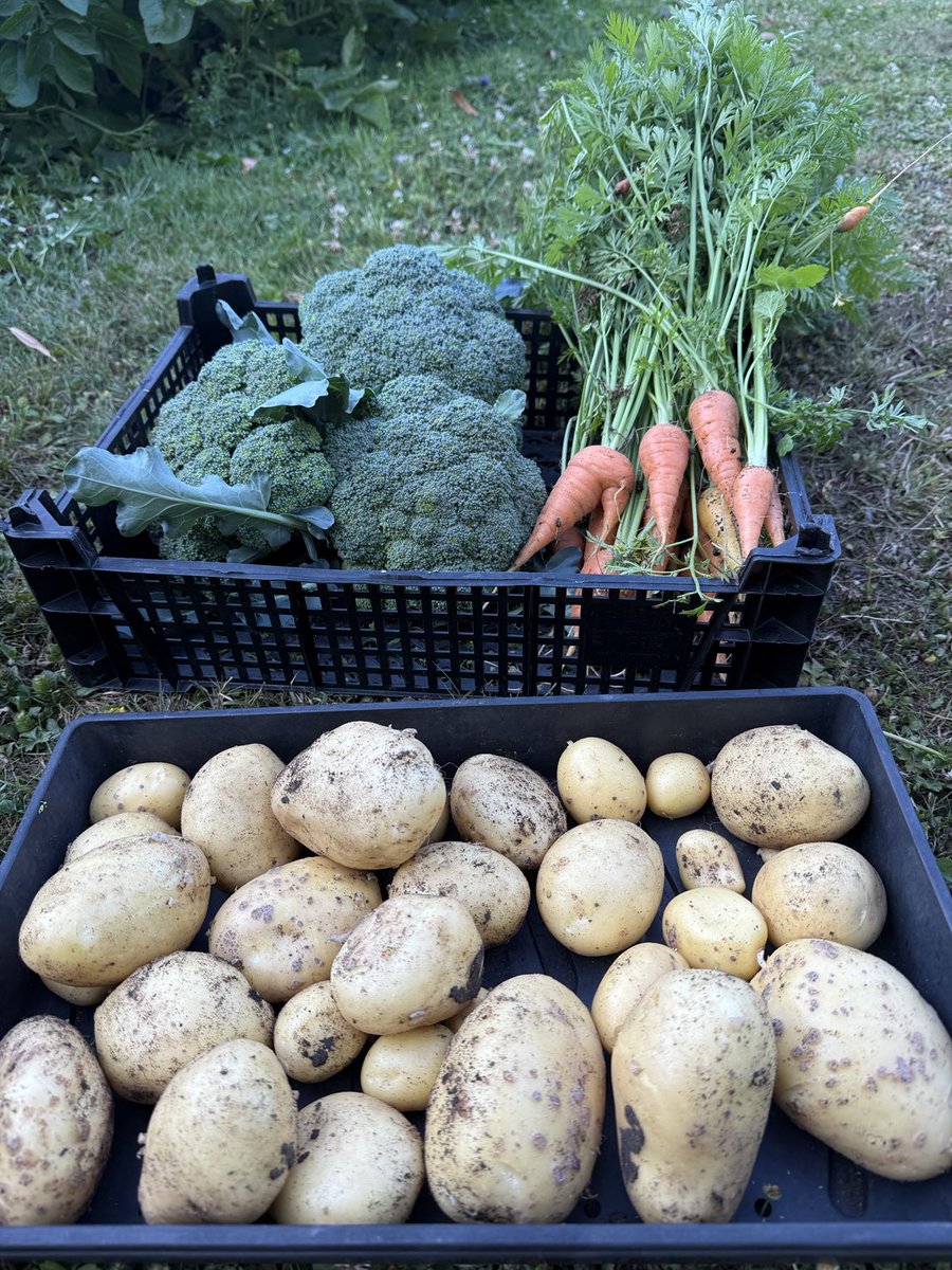 Ross Leadbeater tweet media