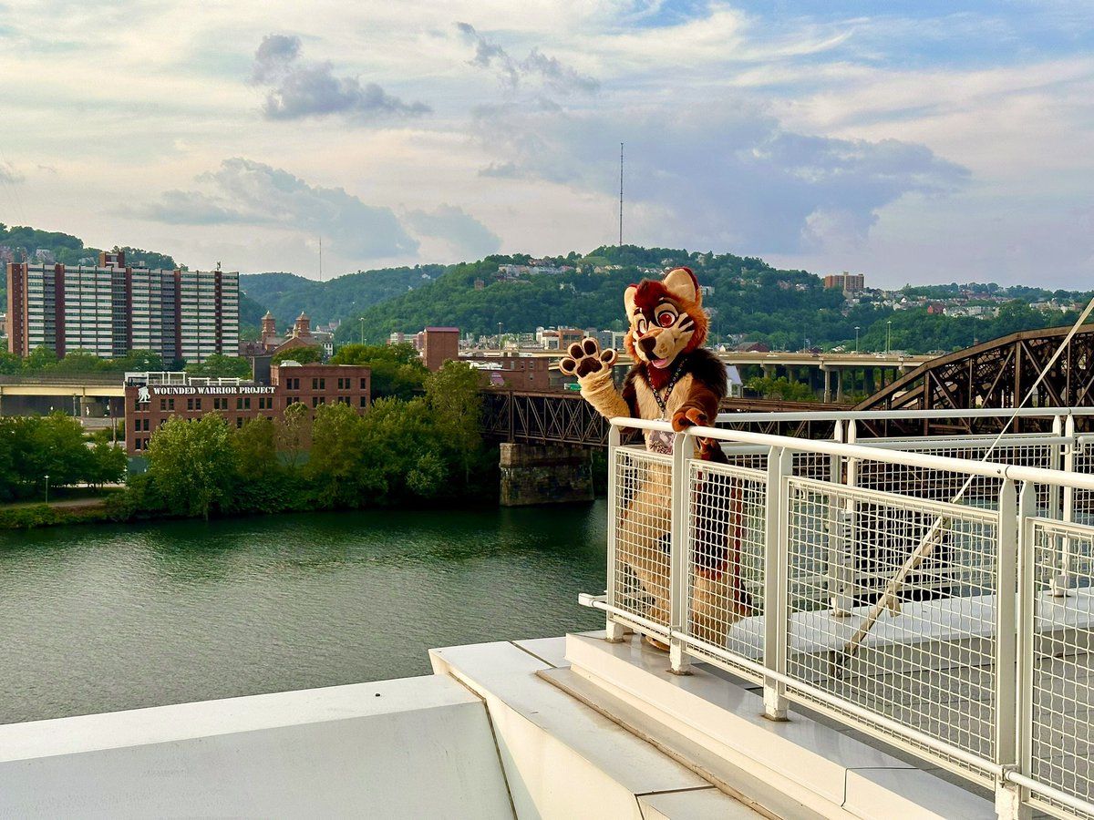 ArdenWolfsky's tweet image. Headed to Anthrocon! Can’t wait to see ya all ❤️