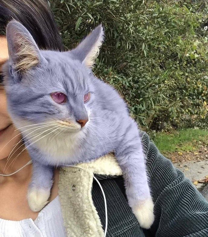 outofcntextcats's tweet photo. https://t.co/8PMBq3Fb4o