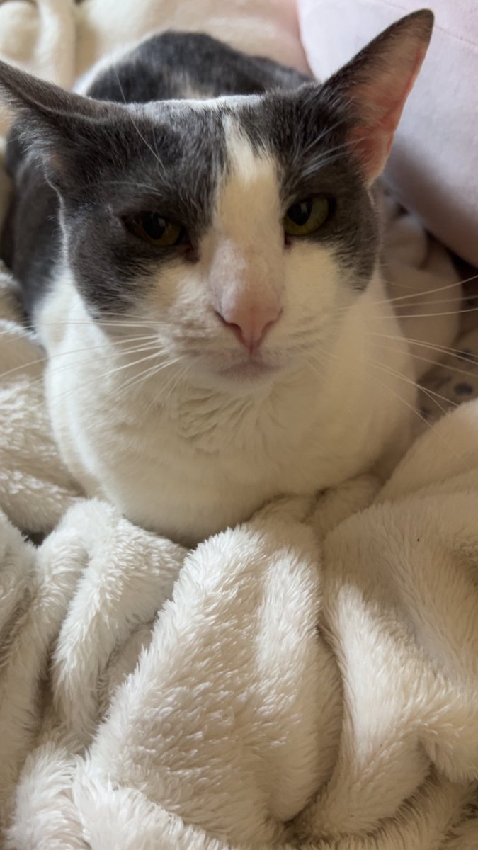 She’s judging you for your last save. 
👁️👄👁️ Wtf was it?