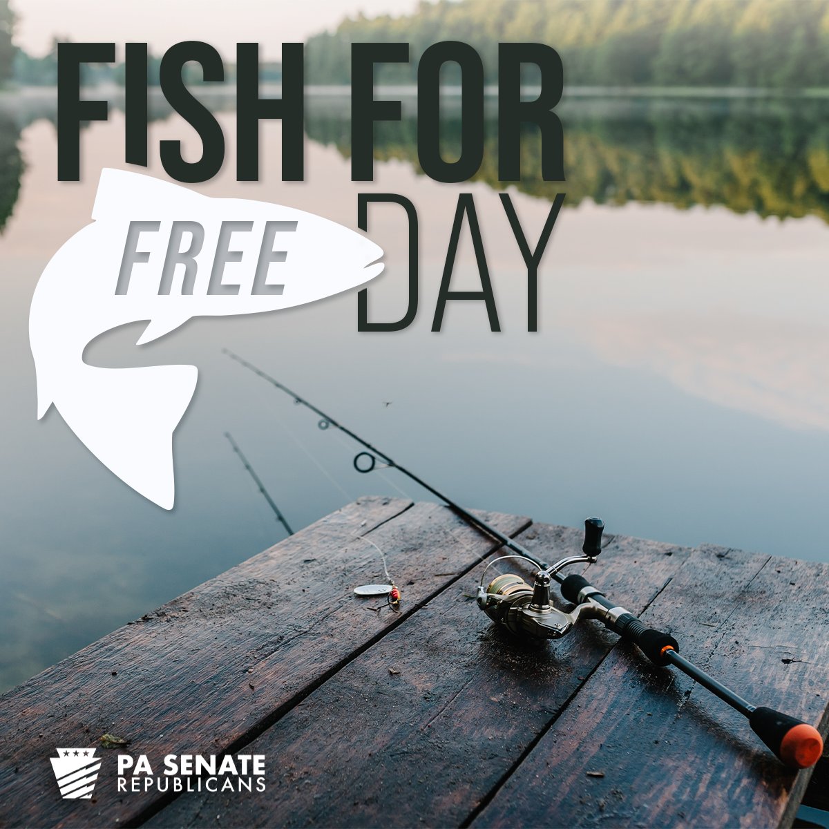 Tomorrow 🎣 Fish for Free on Independence Day! 🇺🇸

Celebrate the Fourth of July with family, freedom—and fishing! 🐟
On Friday, July 4, the Pennsylvania Fish and Boat Commission (PFBC) is hosting a Fish-for-Free Day, allowing residents and non-residents to legally fish any PA