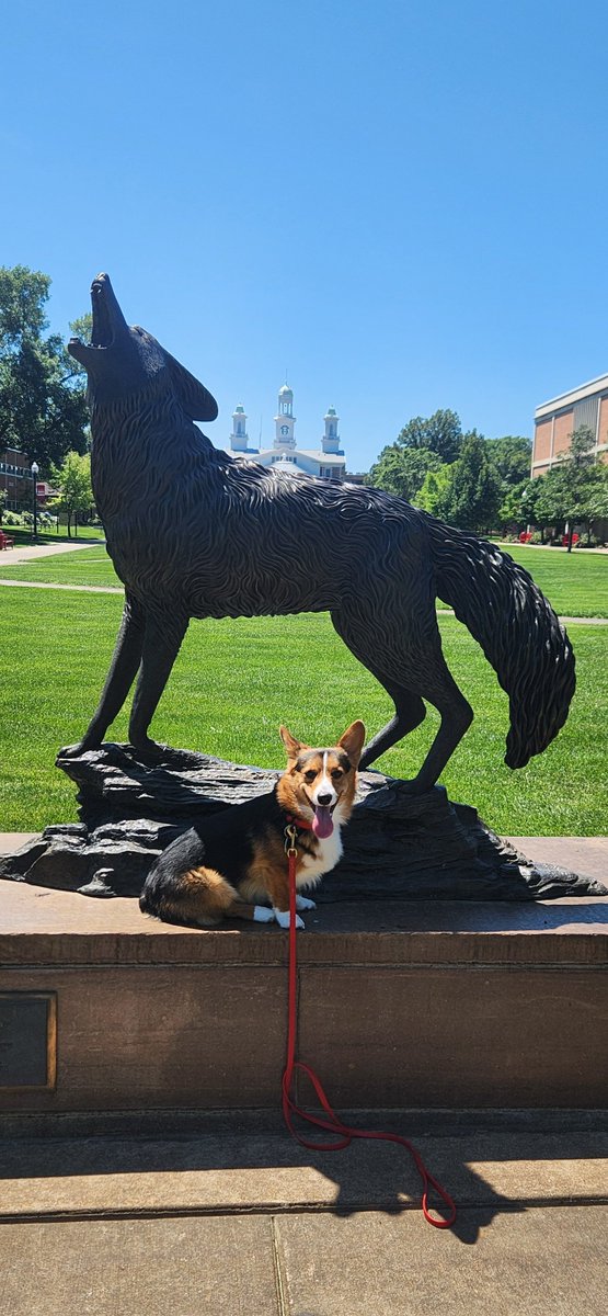 🐾 UPD Therapy K9 Griffin was out exploring campus today and couldn’t resist a quick stop at the Legacy Statue! He’s missing all the students and looking forward to seeing everyone back soon. Stay safe, Yotes!