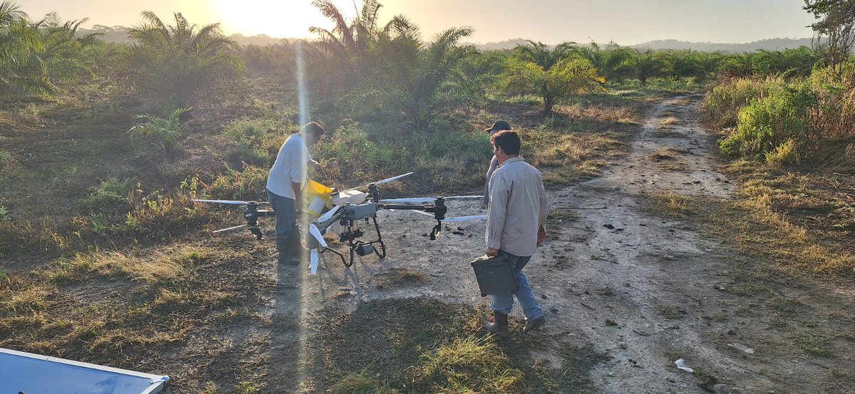 Gobierno de Campeche tweet media