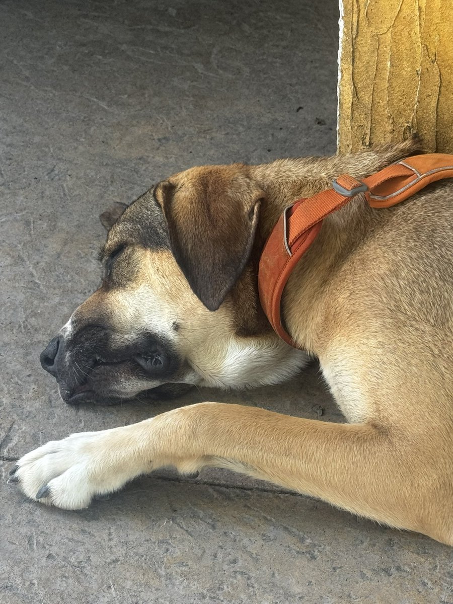 GenisAguayo's tweet photo. @En_jupiter_ Malditas moscas https://t.co/lnjV0gVemF