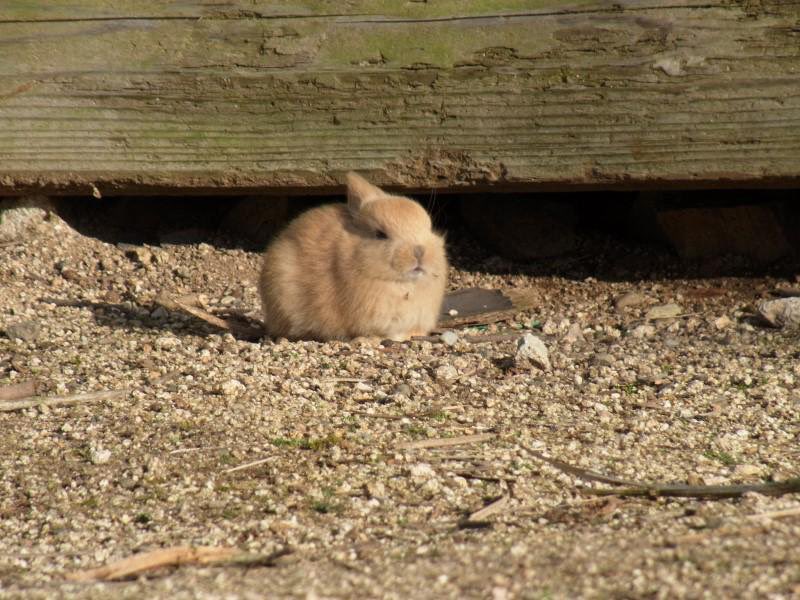트윗에 글 제목도 잘못 적었네…🥲
슬립오브양아치가 아니라 슬립 러브 양아치 입니다…

야근이 이렇게 무섭다…