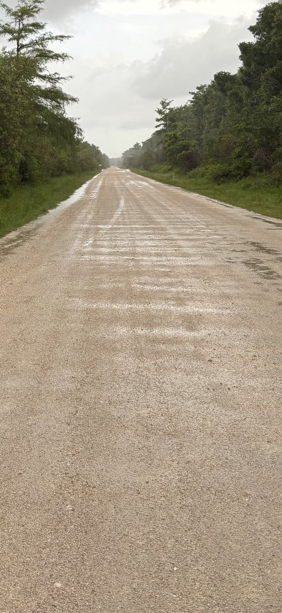 Fons Pommée tweet media