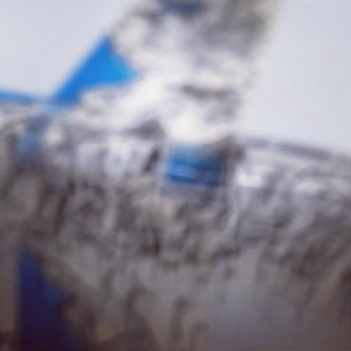 tar_lab's tweet image. ☆☆☆☆☆☆）with the wind and talks to the sTARs（；（seki #TAR #TARCOM #TARLAB #TokyoAirRunners #TARCOMMUNICATIONS #TARLABORATORY