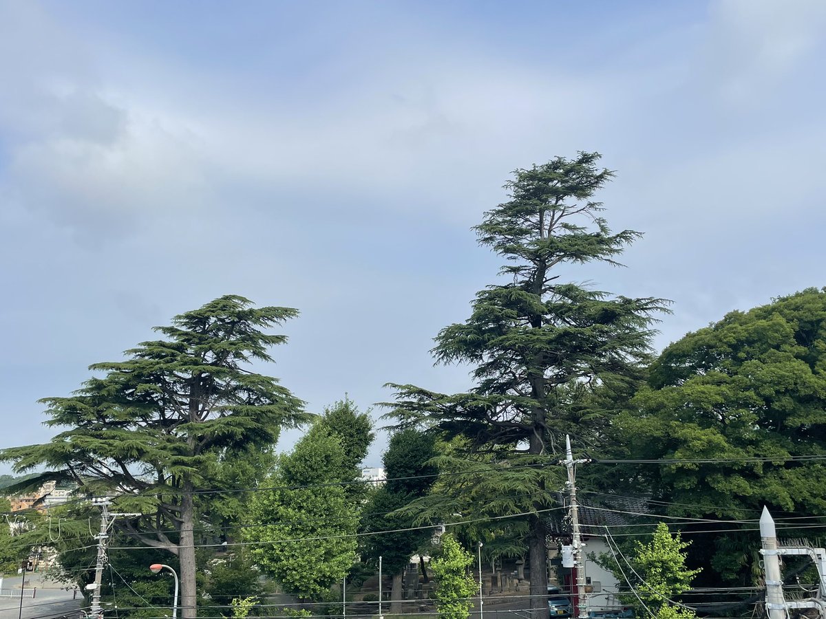 おはようございます！7月3日の湘南は、雲が出ておりますが晴れてます。今日は、「ソフトクリームの日」！みなさんの好きなフレーバーは何ですか？私はチョコレート派です。
今日も一日ご安全に！
#企業公式が毎朝地元の天気を言い合う 
#企業公式が朝の挨拶を言い合う