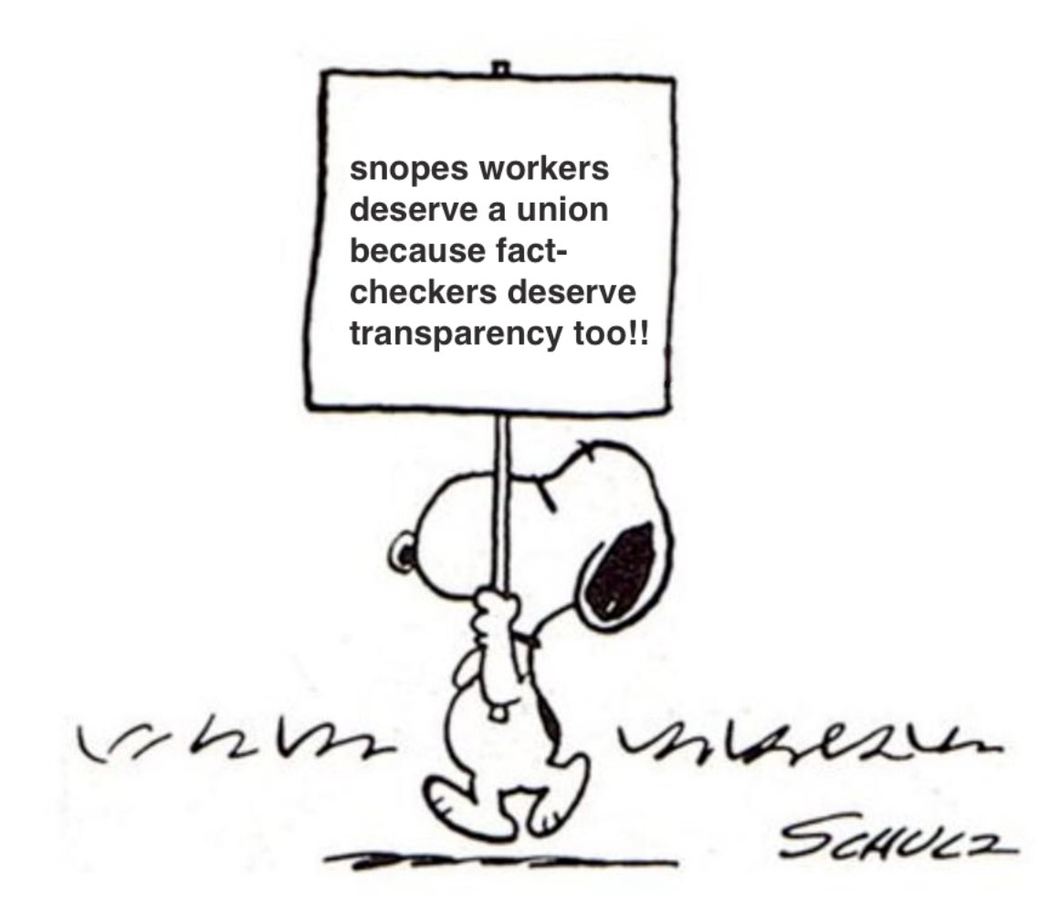 snopes_guild's tweet image. Snoopy stands with fact-checkers. We hope you do too!!💡