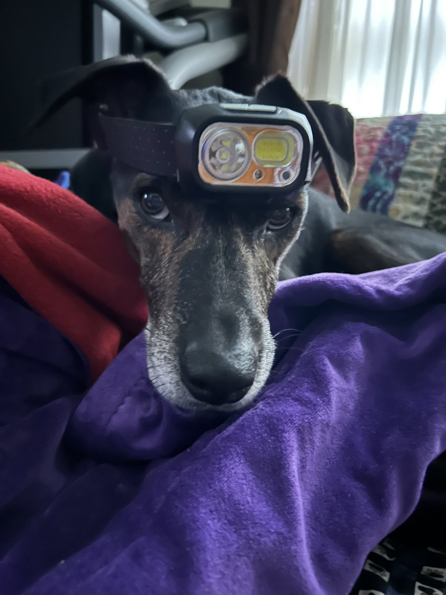 I got this new thing to wear on my head when it’s dark out. I look ridiculous don’t I.🙈 
#JustSayNoToHeadGear #Wednesdayvibe