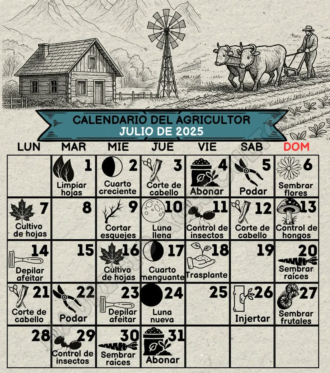 El Fogón de Palo🔥 tweet media