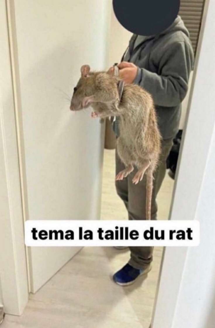 user157185's tweet image. wow #choquant