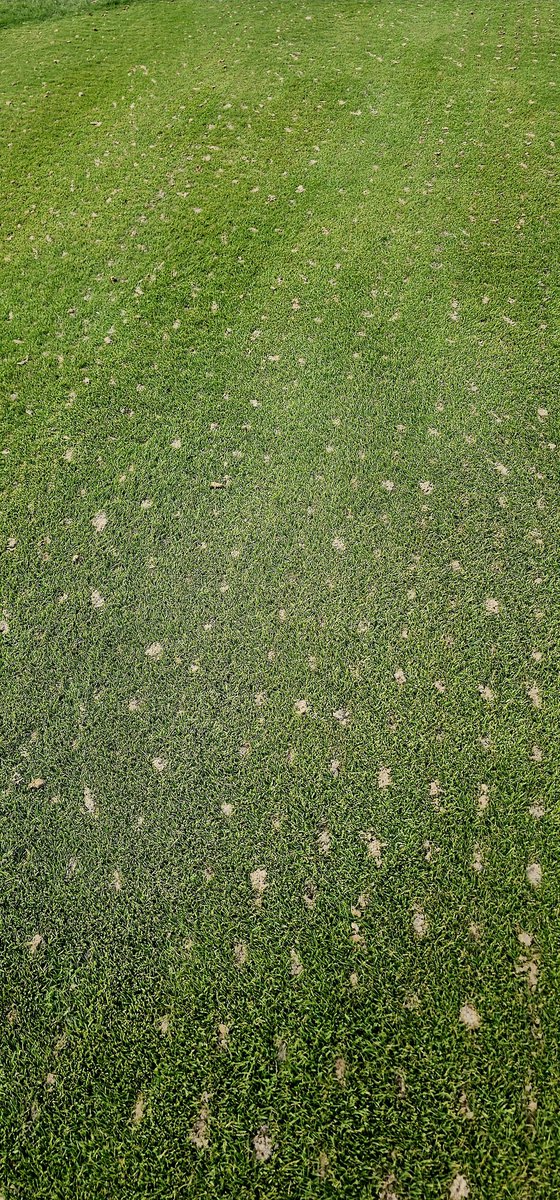 turfmonkeyboy's tweet image. Always good to look up in paradise, but if you care to look down around these parts, you can find us injecting Everlyzer 3-3-3 today sparged with #Armament from @FoliarPak. 

Was easy and clean for the Myakka Mafia to work with in the field, and the sand is from Bulk Aggregate at…