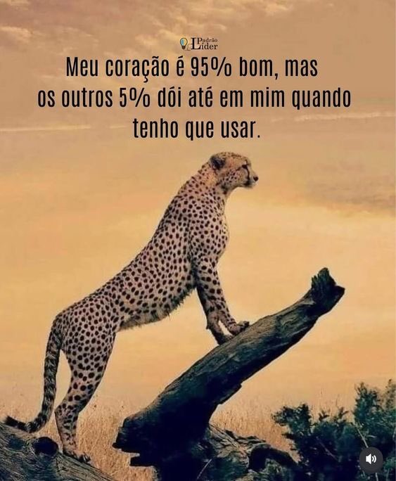 Bem assim…