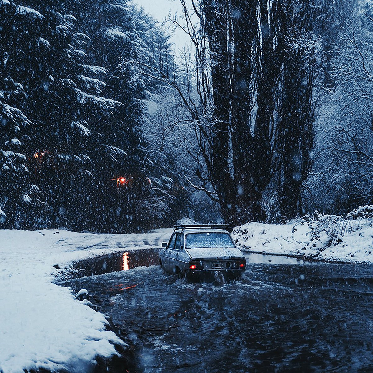 The Argentinean Empire (@gonsanchezreyar) on Twitter photo 