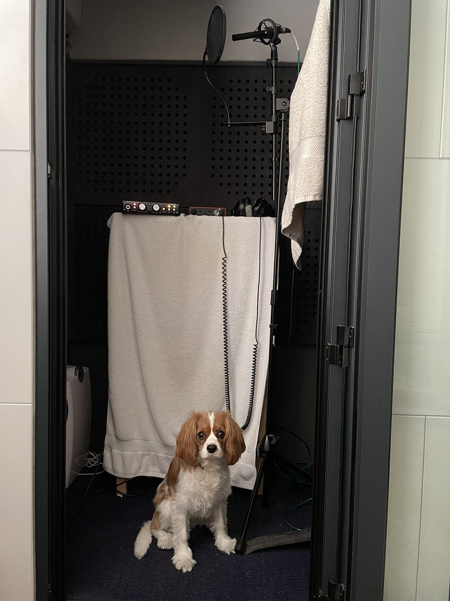 “Studio Dog”