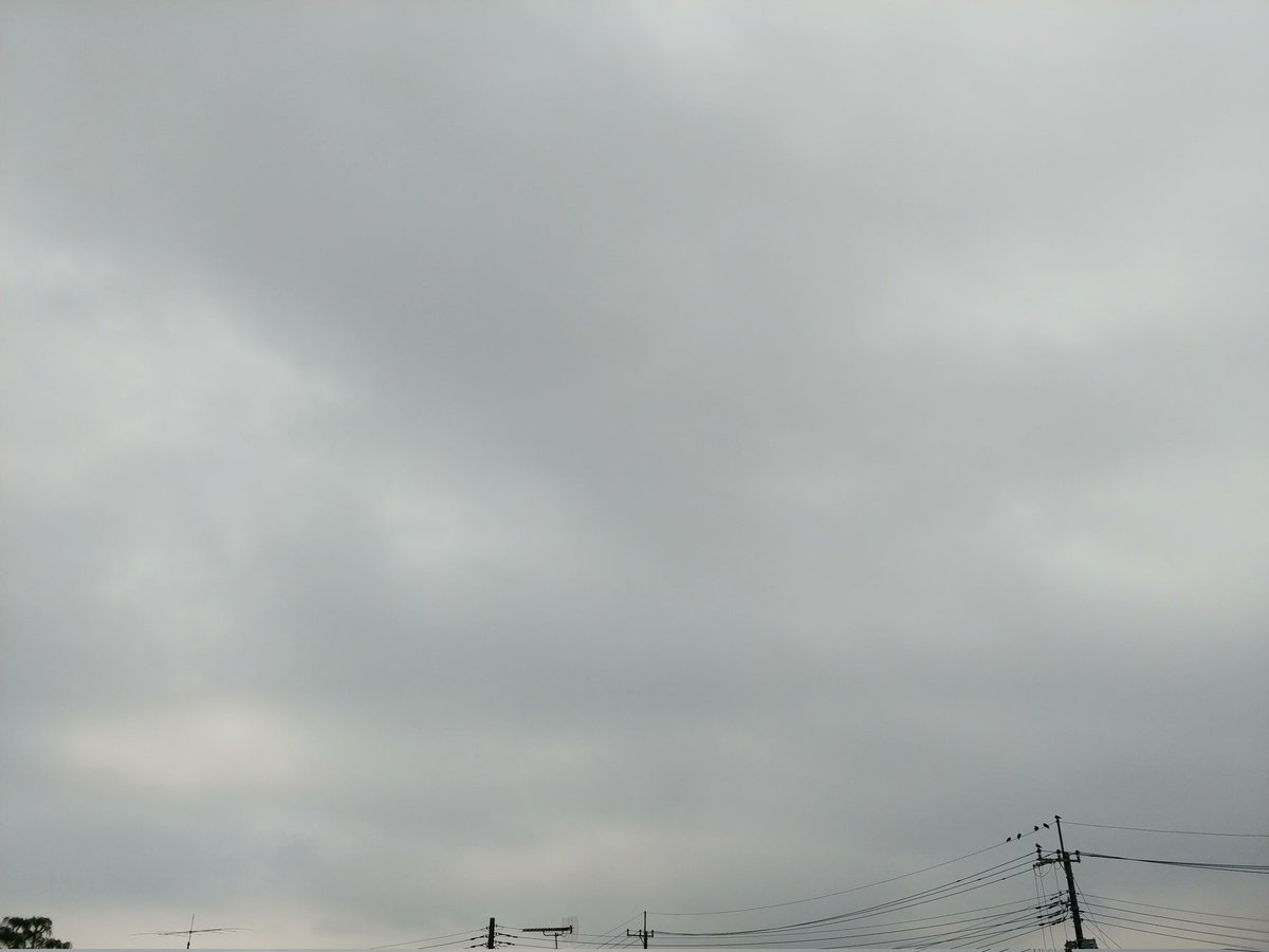 tompeko383912's tweet image. おはようございます☁️27.4℃
蒸し暑い朝💦
#イマソラ