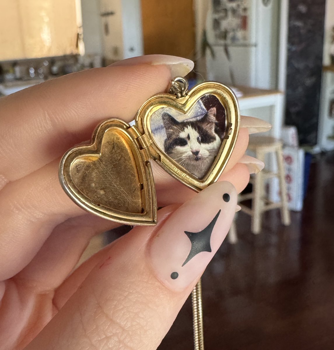 I’m not wearing a locket with my cat’s picture inside because I love her. this is a containment spell