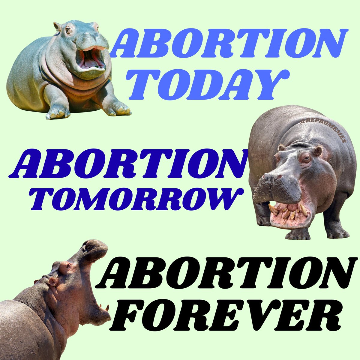 ReproMemes's tweet image. psa :)