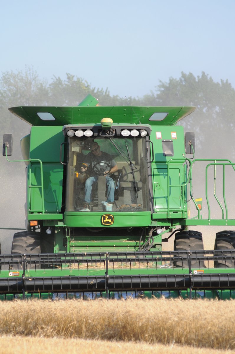 Does the wheat smell bad while being harvested? K-State wheat pathologist Kelsey Andersen Onofre explains what common bunt, also known as stinking smut, is and the impact it can have on wheat harvest. 
agtodayksu.libsyn.com/1966-taxes-in-…
