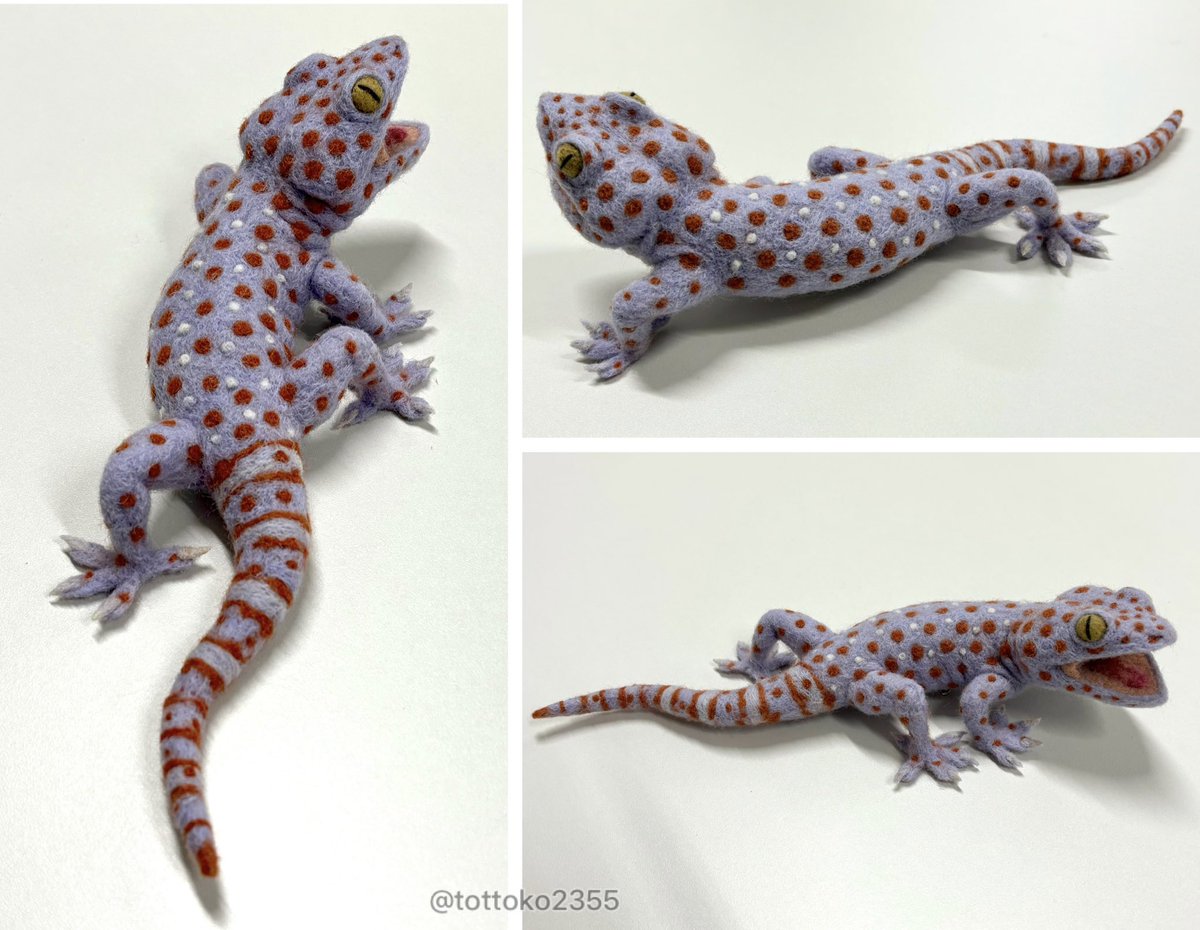 羊毛フェルトで爬虫類に挑戦！
トッケイヤモリを作ってみました🦎
#羊毛フェルト