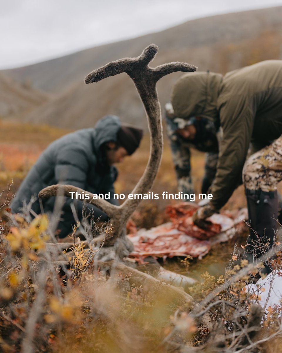 GOHUNT's tweet image. Fall is almost here 

#gohunt