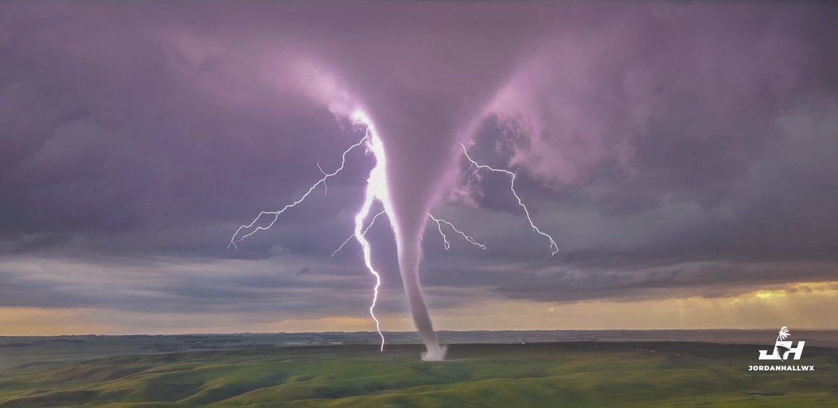 TornadoTRX tweet media