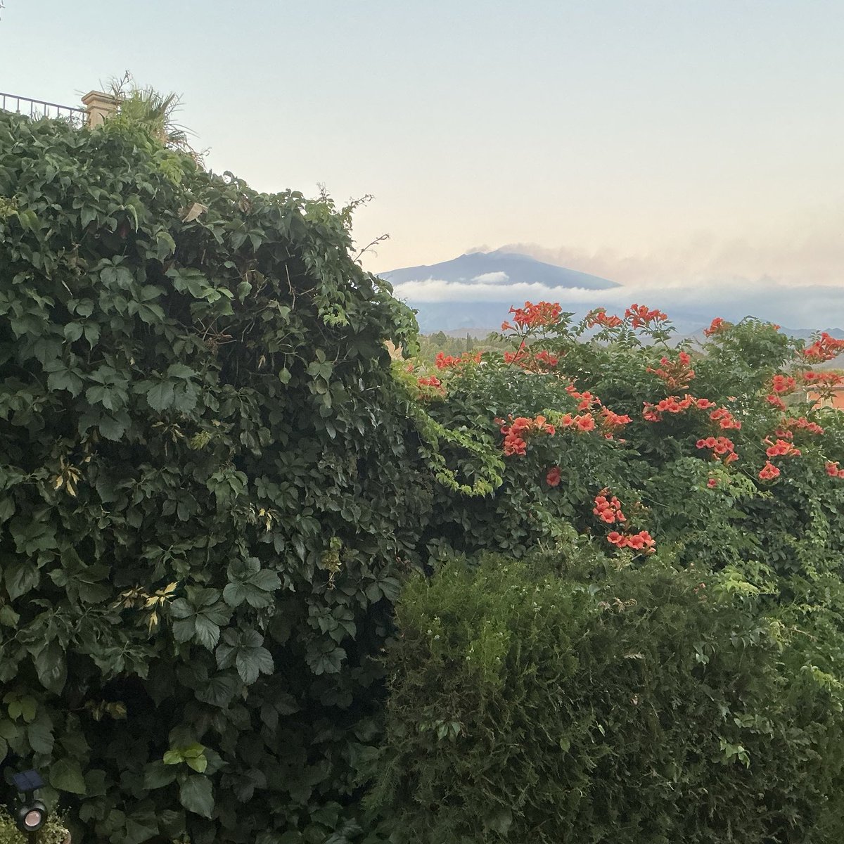 #etna ⁦<a href="/Finocchiaro21/">FrancescoFinocchiaro</a>⁩