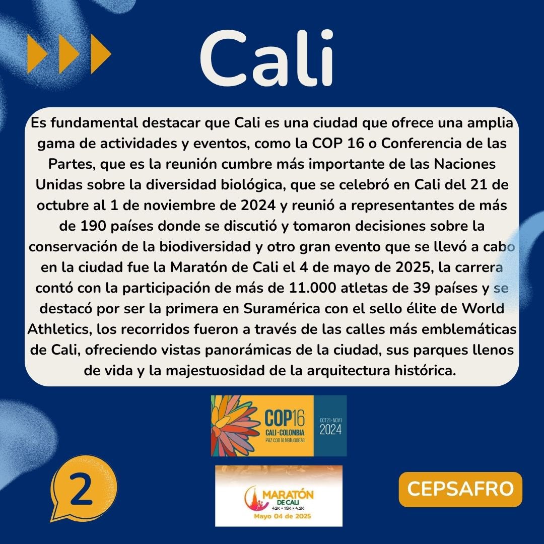 CentroDeEstudiosAFRO tweet media