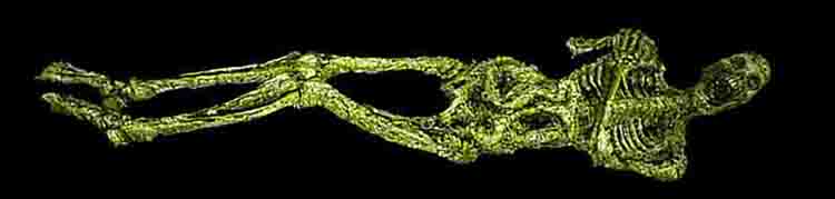 TYRUS CREEK (@tyruscreek) on Twitter photo 