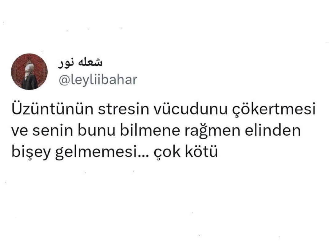Alnı Öpülesi Tivitler (@alniopulesitivt) on Twitter photo 