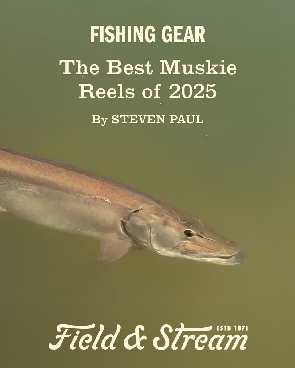 FieldandStream's tweet image. Muskie fishing isn’t for the faint of heart—and neither is the gear. These reels are built to go the distance in the pursuit of freshwater’s apex predator.

See our top picks for muskie reels - fieldandstream.com/outdoor-gear/f… 🎣

#MuskieFishing #GearReview #FieldandStream