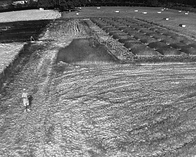rubenvicper's tweet image. Testing our new thermal camera on a really hot day! Experimental farm of @irnasa_csic &quot;Muñovela&quot;, Salamanca