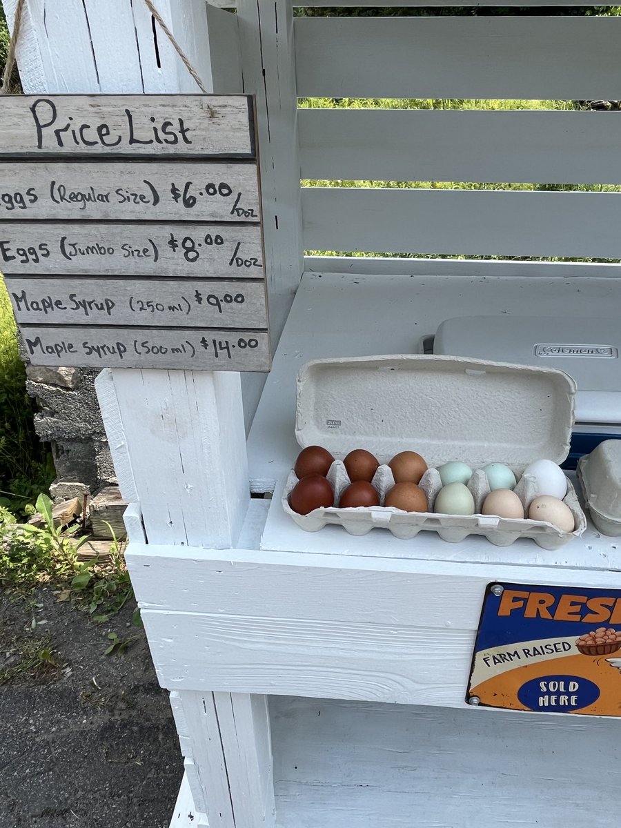 Dr Bruce M Firestone tweet media