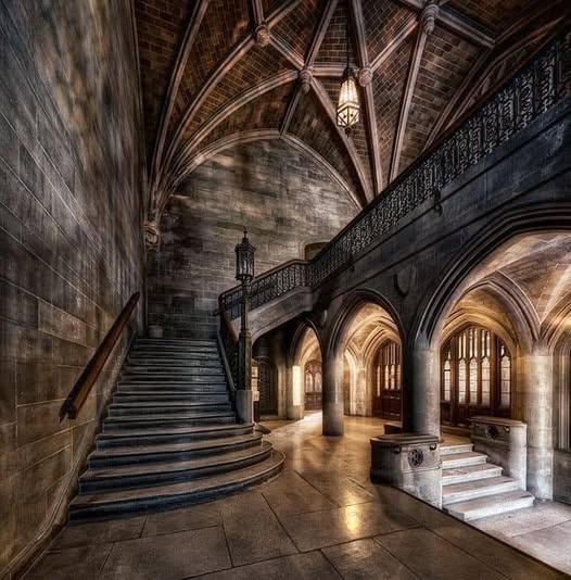 BiancoDavinci's tweet photo. Neo-Gothic Harper Memorial Library, Chicago, Illinois https://t.co/9A4UScJVcr