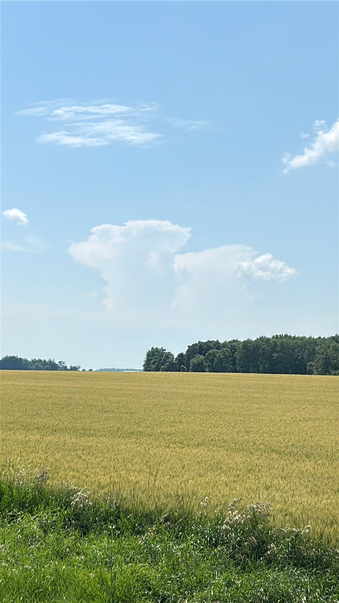 bfdff12's tweet photo. #onstorm some nice structures popping up. Looking WSW of Walton, ON 1510 hrs https://t.co/vsLymgYkj1