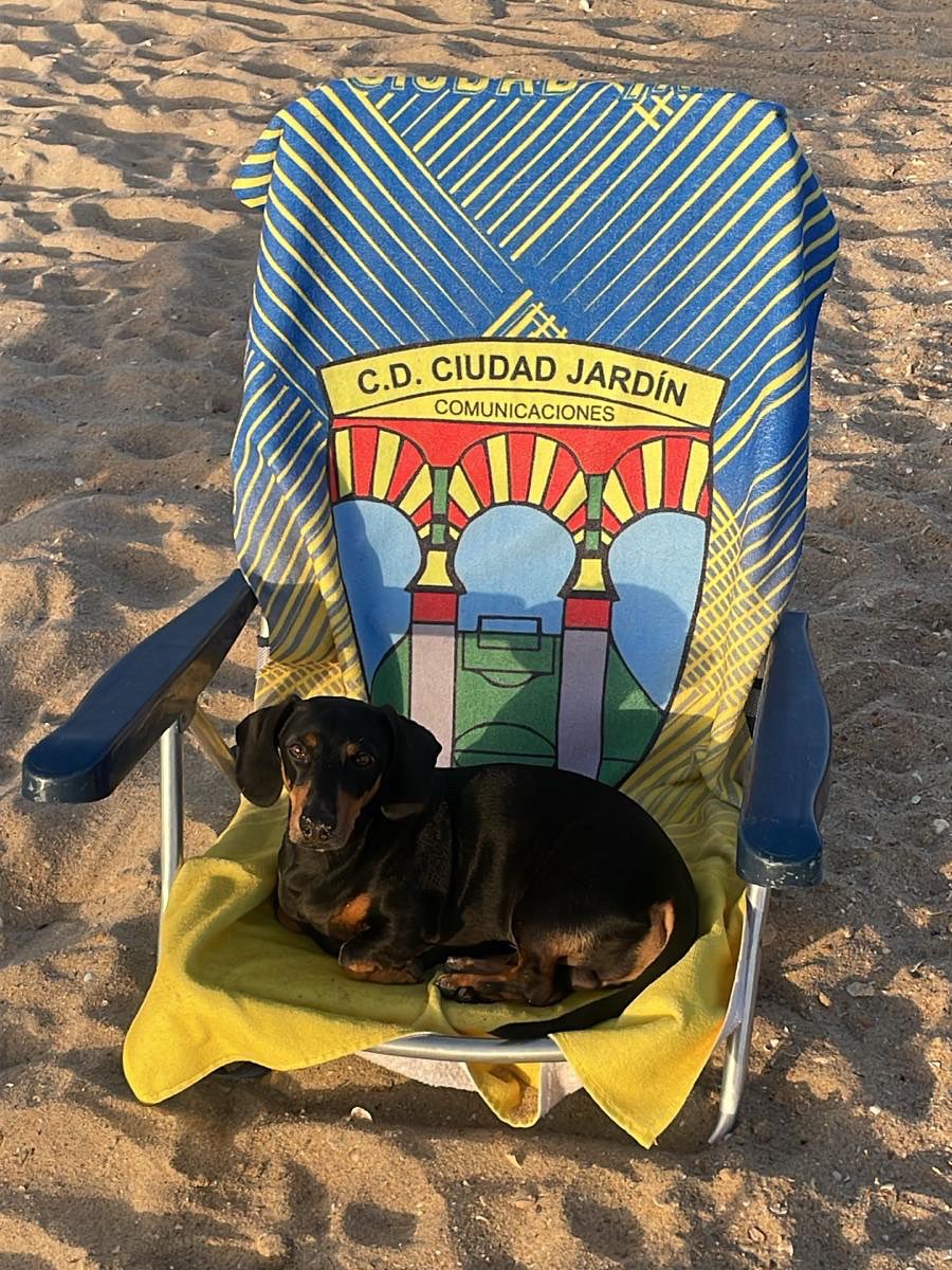 Muchos nos preguntáis por Pintxo!!!! Pues nuestro más fiel seguidor está de chill esperando la nueva temporada…. Pero siempre con su equipo!!!!