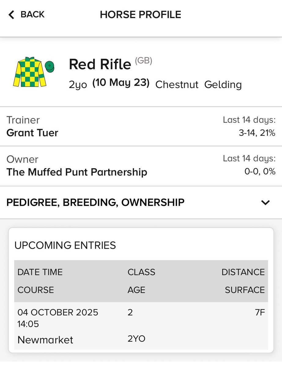 So good we named our latest racehorse after him