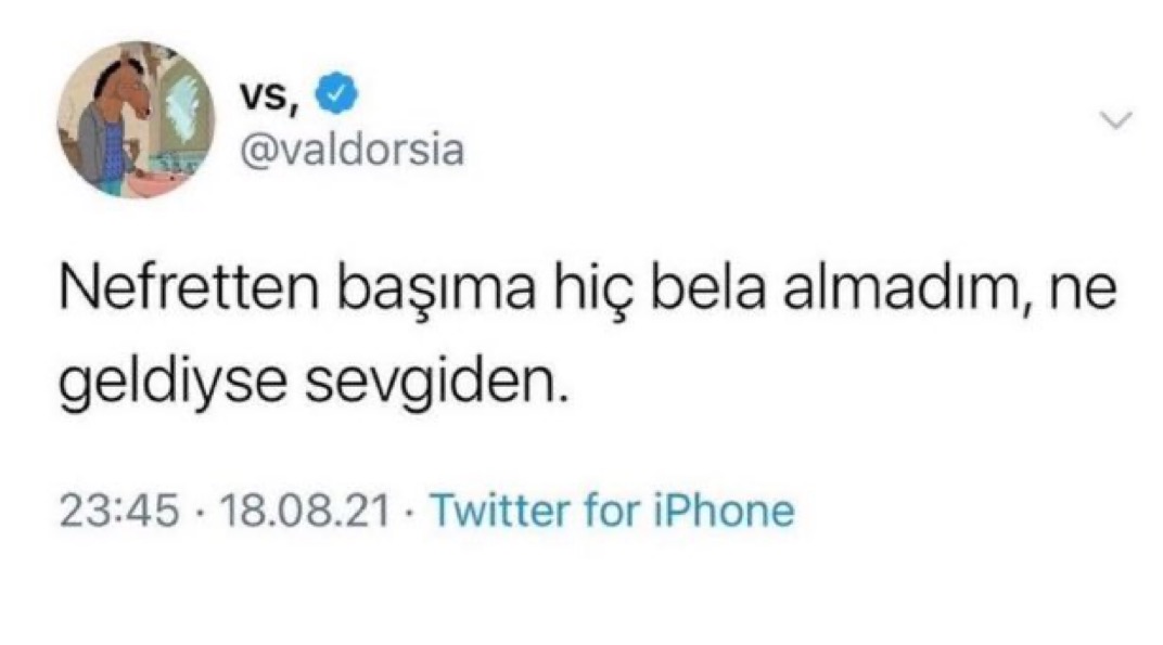 Alnı Öpülesi Tivitler (@alniopulesitivt) on Twitter photo 