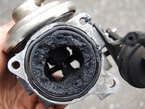 Zed🇫🇷 tweet media