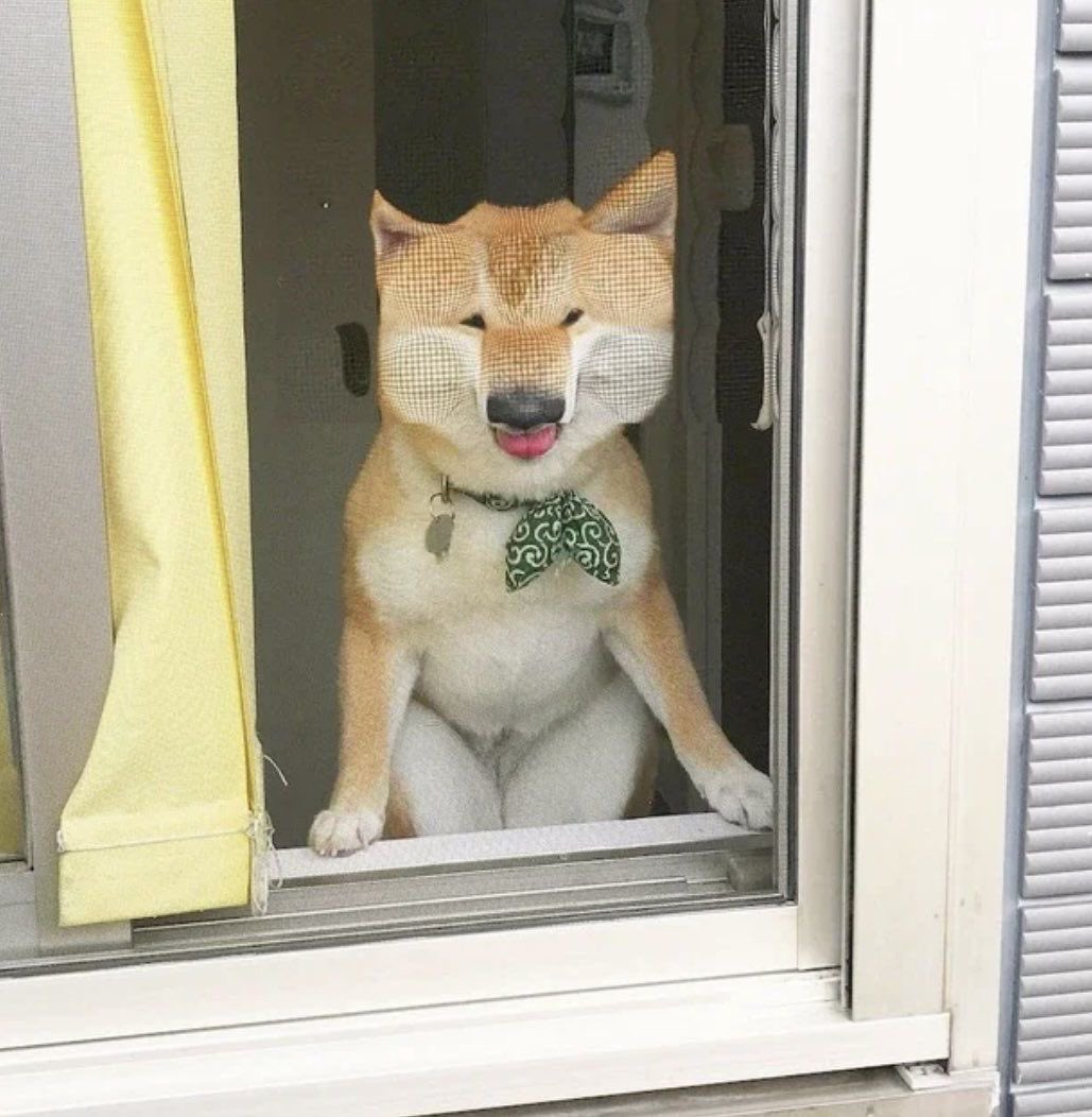 twaniimals's tweet photo. https://t.co/KvDL0MS9L6