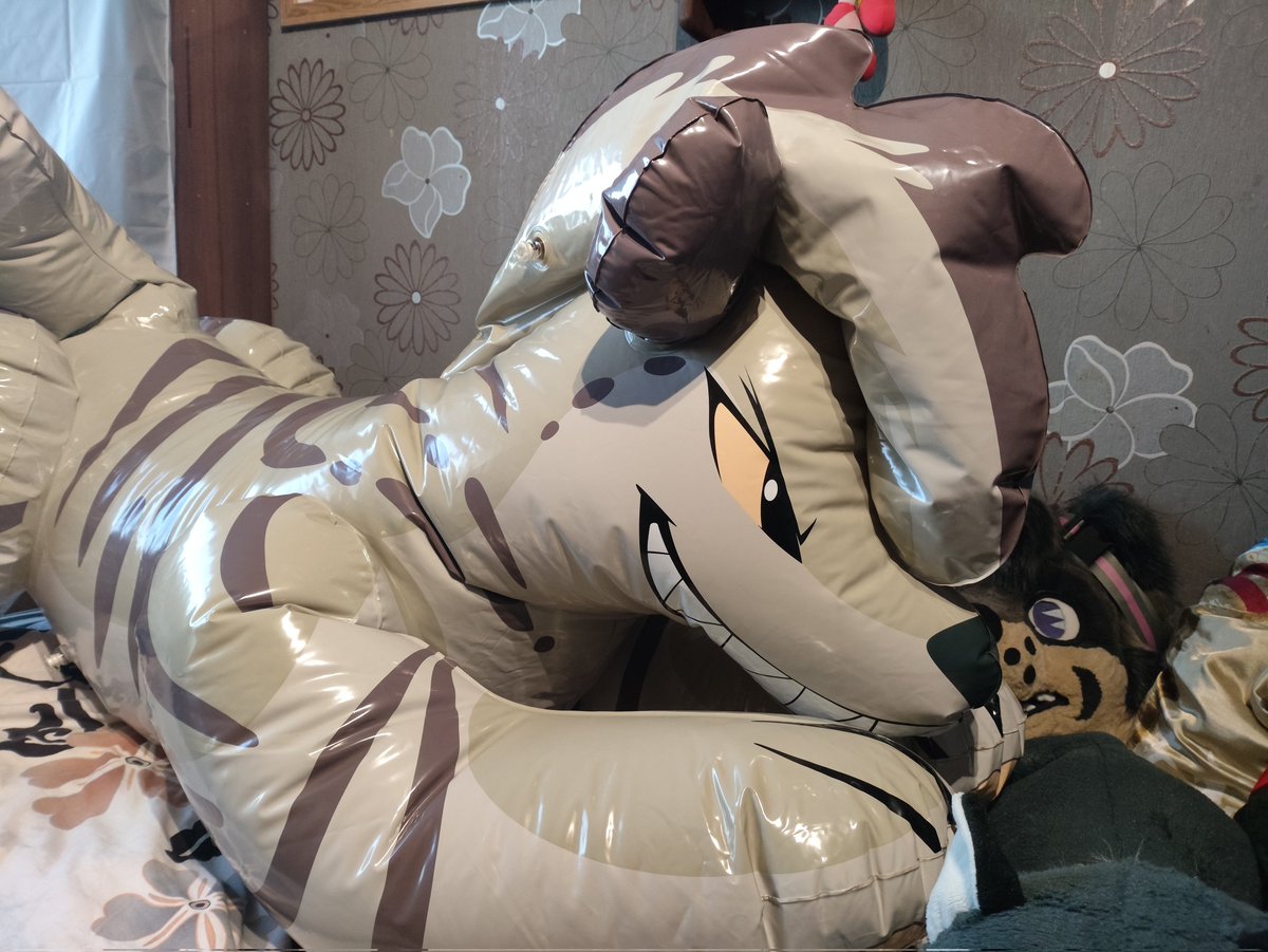 Honestly I'm really liking my new horseplay hyena so far ^^
#pooltoys #squeaks #inflatable
